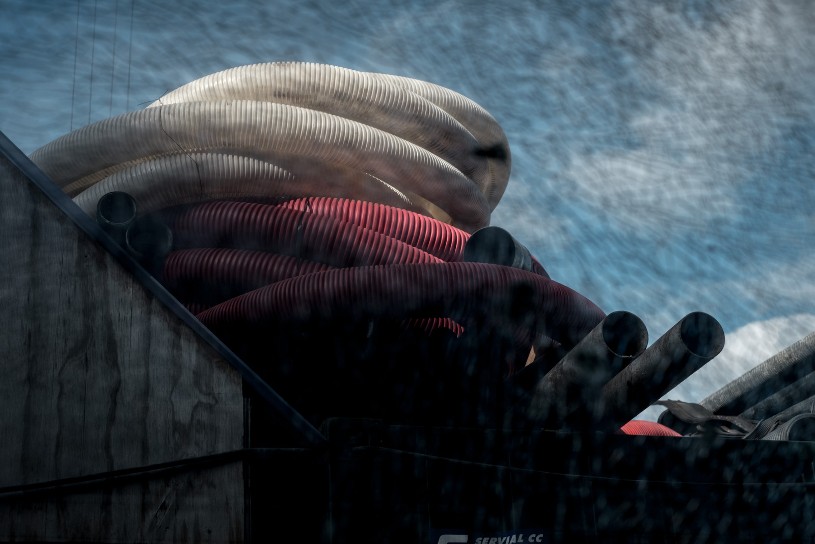 charlene-winfred-2354