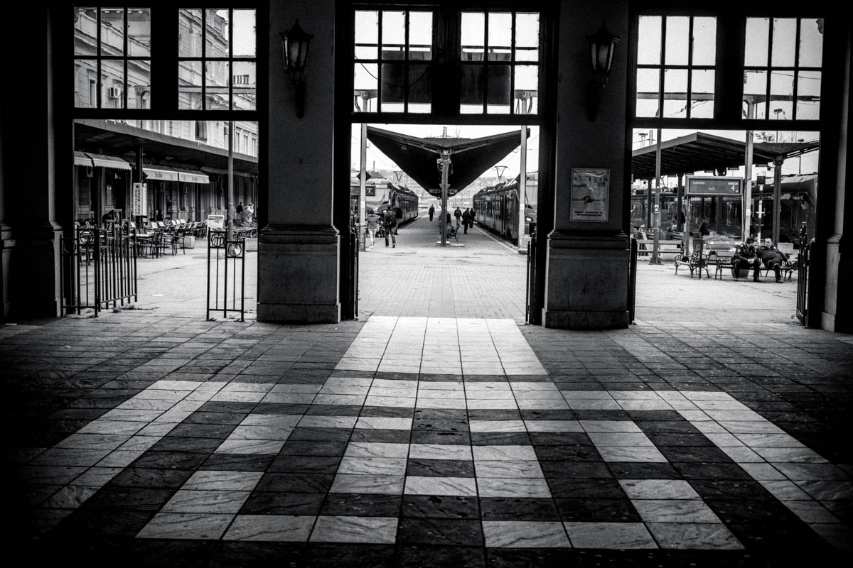 Charlene-Winfred-20248