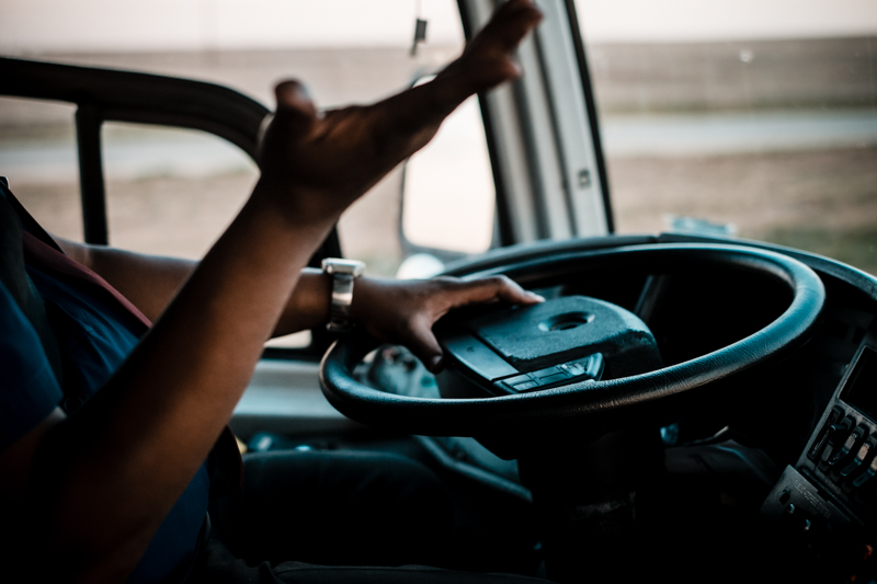 cw-texas-greyhound-6