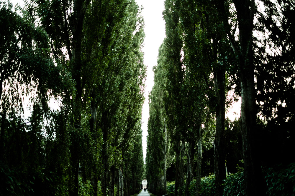 Assistens Kirkegård, Copenhagen