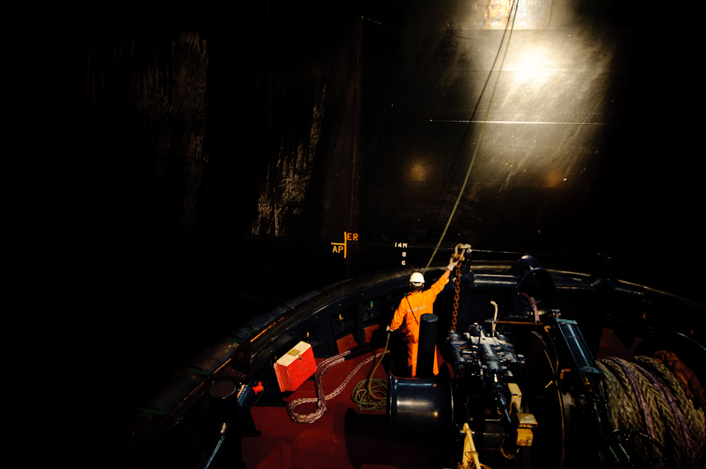 copyright Charlene Winfred