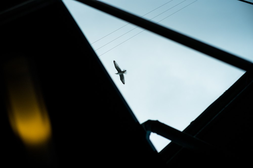 CharleneWinfred-CPHconverge-0418