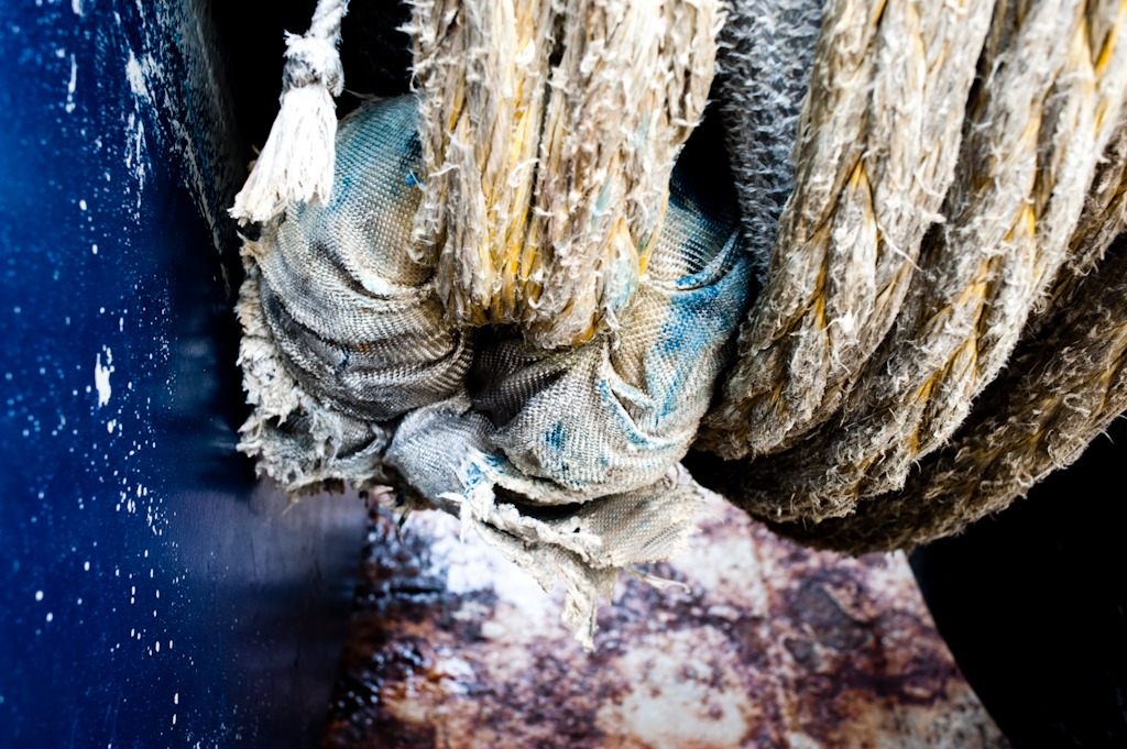 copyright Charlene Winfred