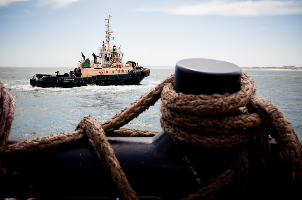 copyright Charlene Winfred