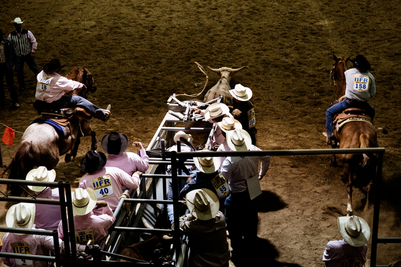 charlenewinfred-newmexico-iifr-rodeo-roping-1