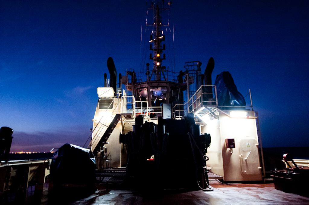 copyright Charlene Winfred