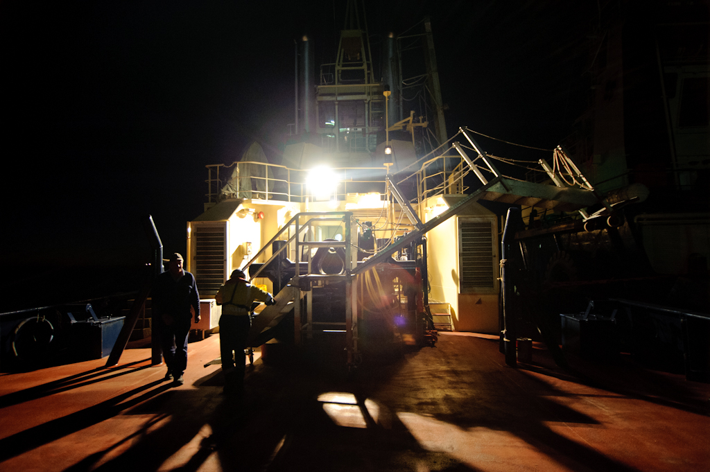 copyright Charlene Winfred