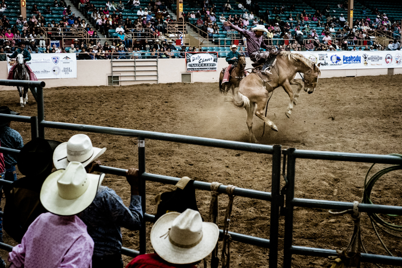 charlenewinfred-newmexico-iifr-rodeo-4
