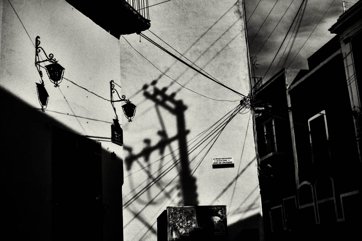 Charlene-Winfred-45955