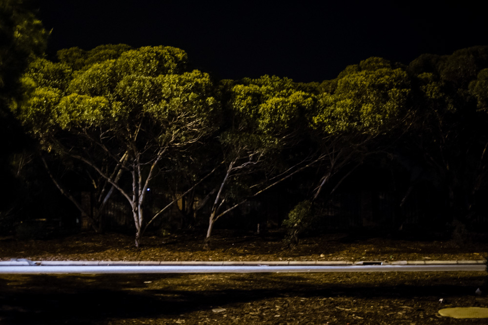 CharleneWinfred-Perth-142470