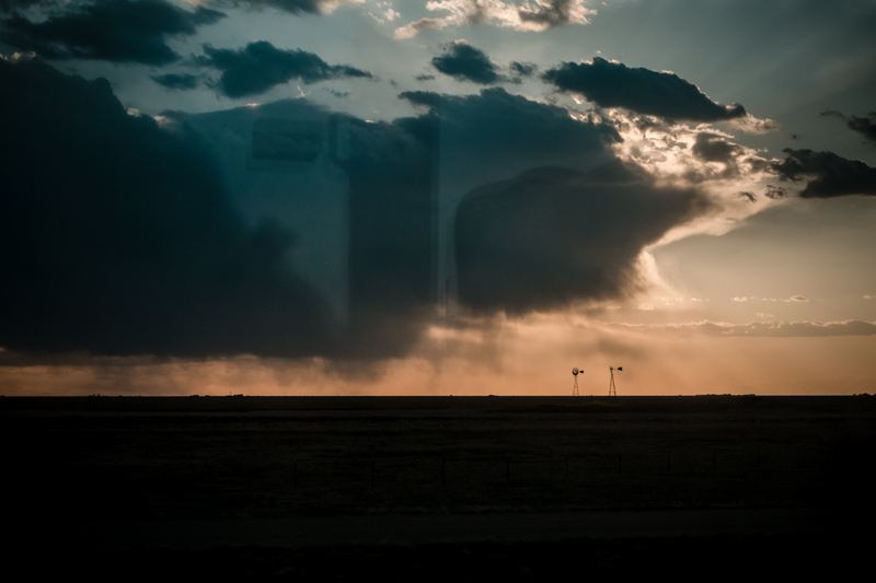 cw-texas-greyhound-7