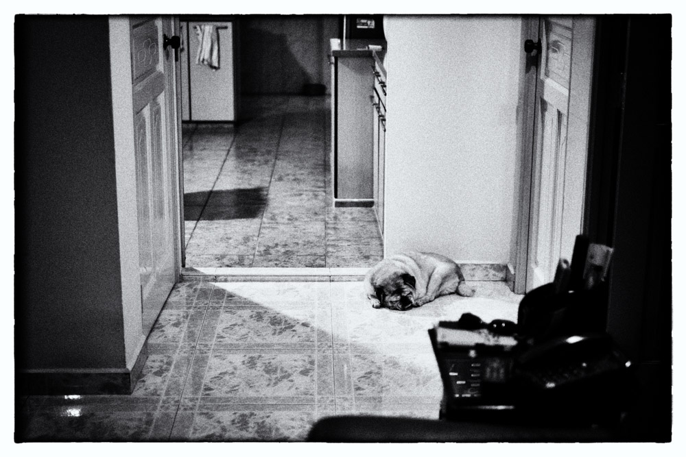 CharleneWinfred-Georgy-7227