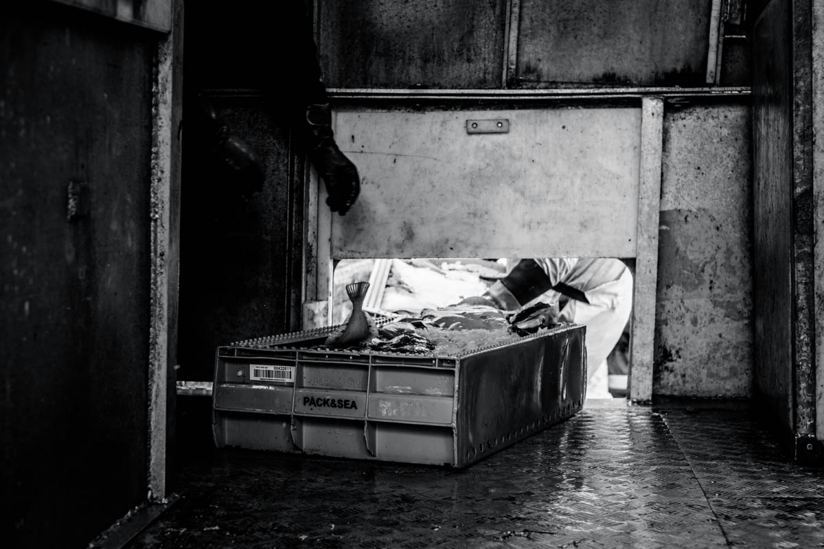 Charlene-Winfred-15967