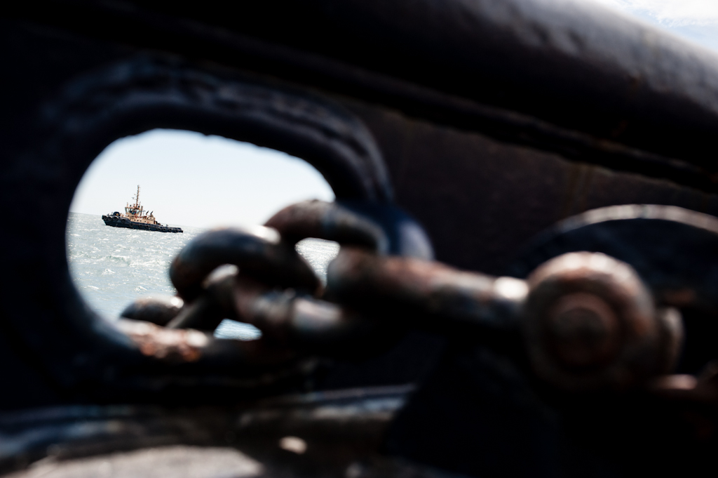 copyright Charlene Winfred