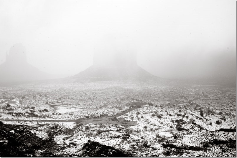 CharleneWinfred-Blog-9550 CharleneWinfred-Blog-9550