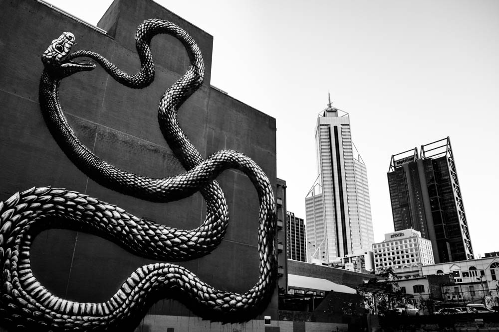 More Fujifilm X-T10 images, and some thoughts on digital