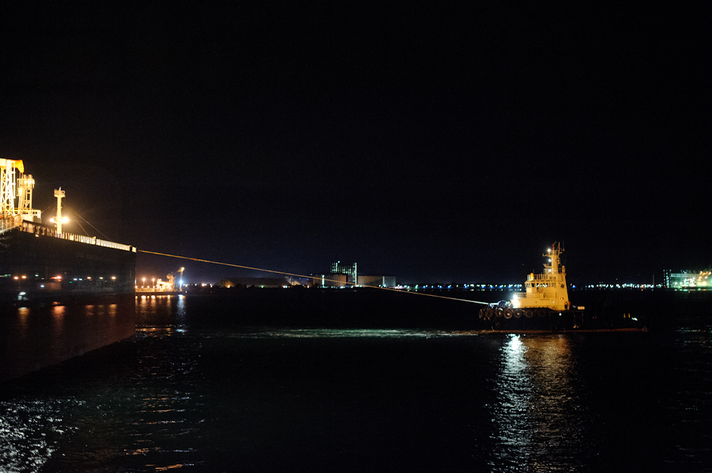 copyright Charlene Winfred