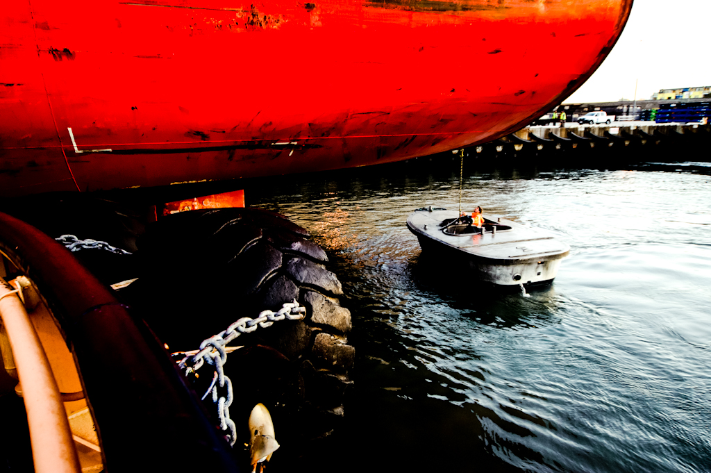 copyright Charlene Winfred