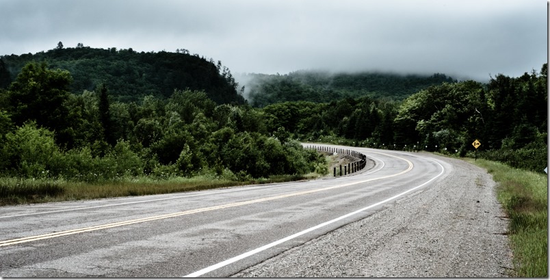 charlenewinfred-on-fog