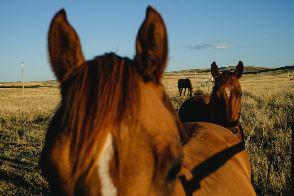 CharleneWinfred-USA-08735