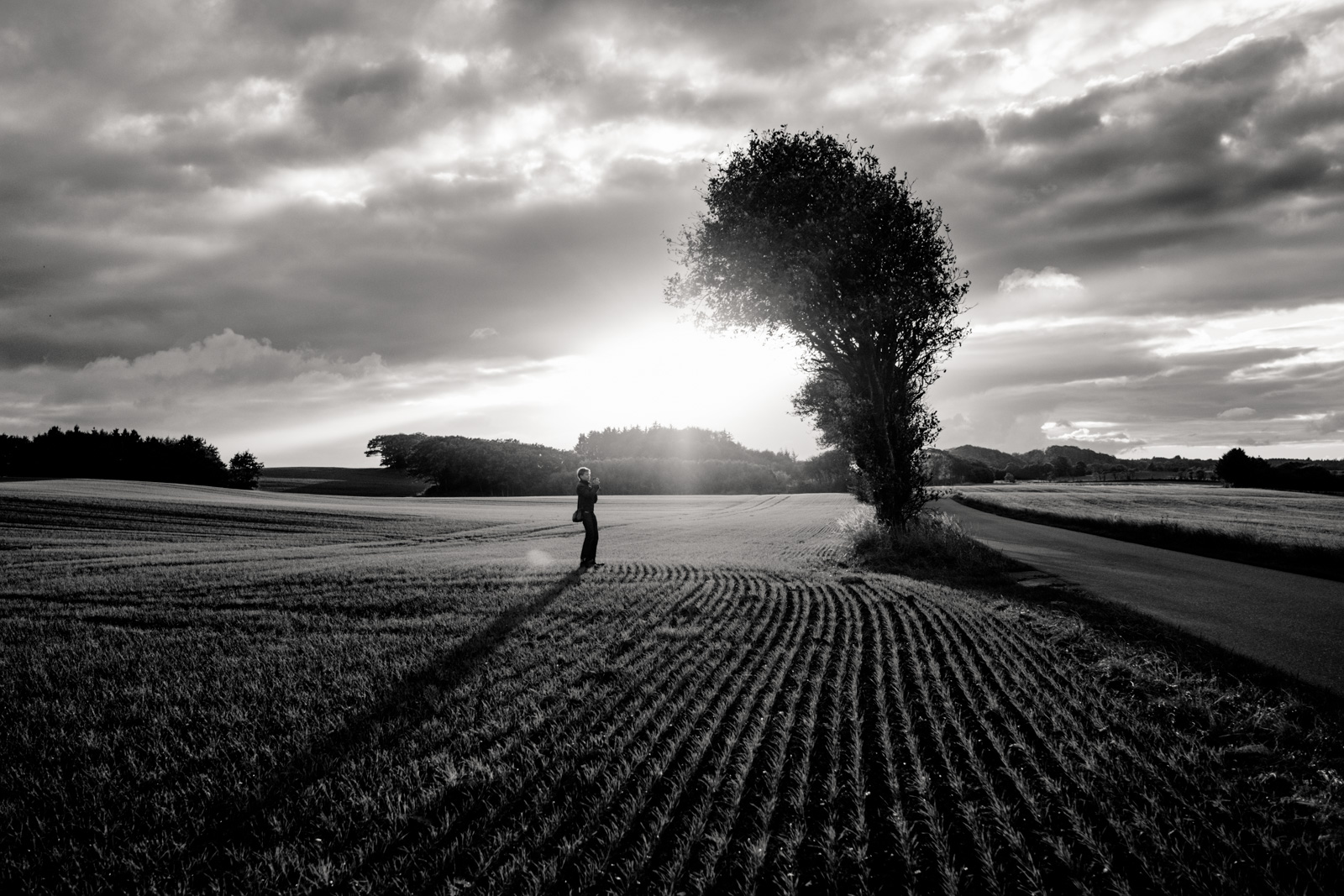 Man vs tree. Sunset a few days ago near home.