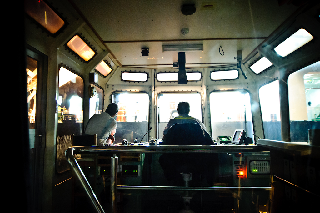 copyright Charlene Winfred