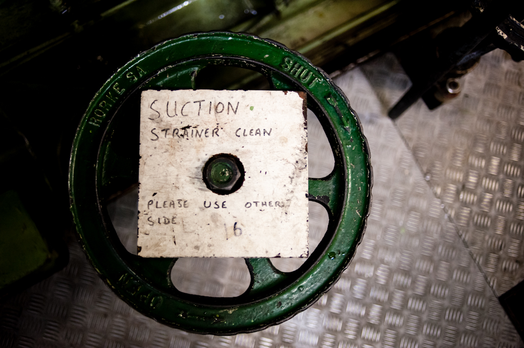 copyright Charlene Winfred