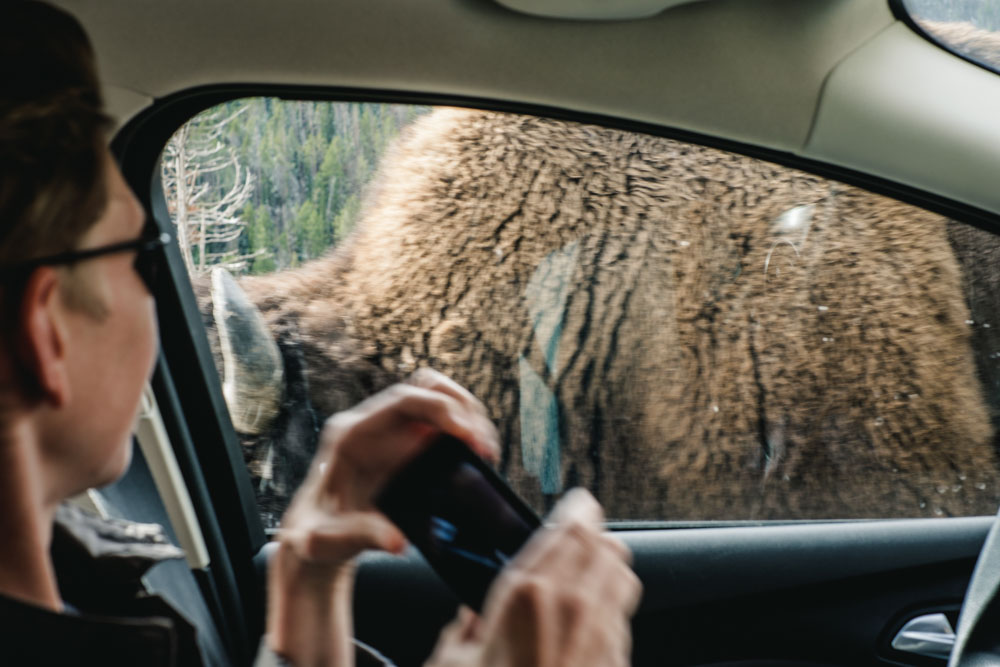 CharleneWinfred-Yellowstone (5 of 6)