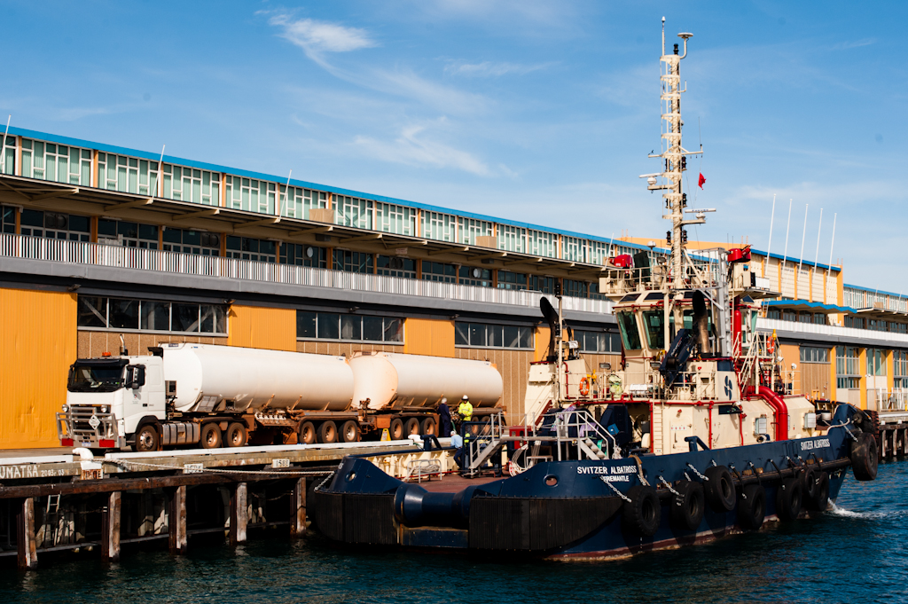 copyright Charlene Winfred