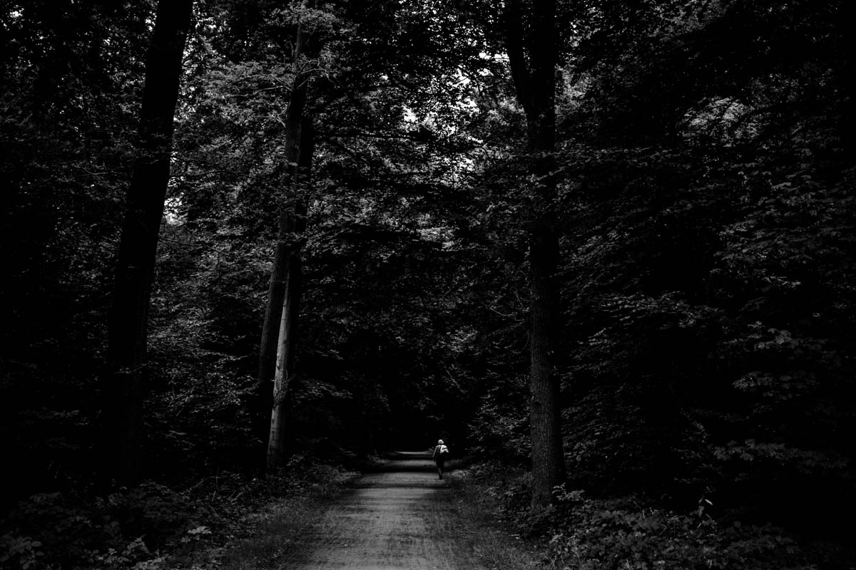 A magical forest in Hannover, Germany