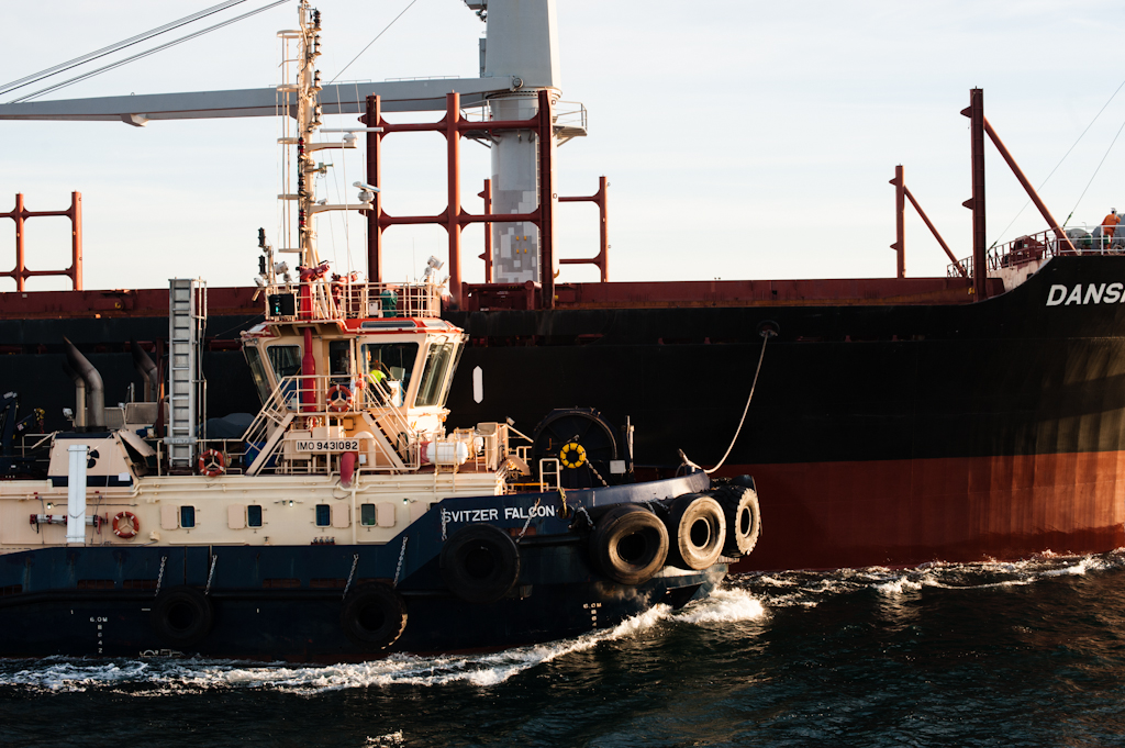 copyright Charlene Winfred