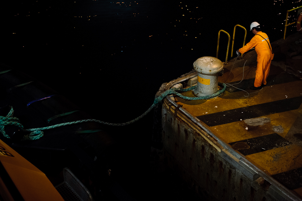 copyright Charlene Winfred