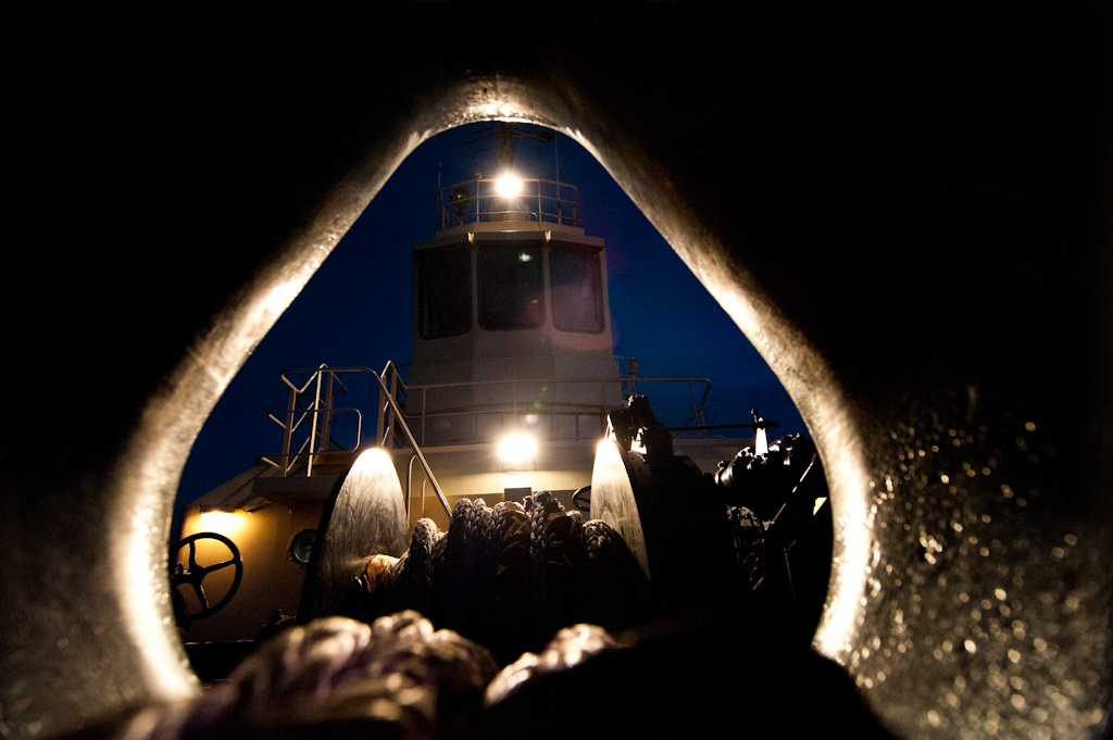 copyright Charlene Winfred