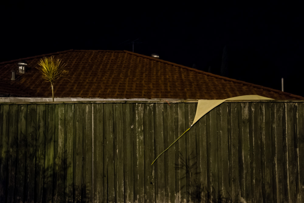CharleneWinfred-Perth-142423