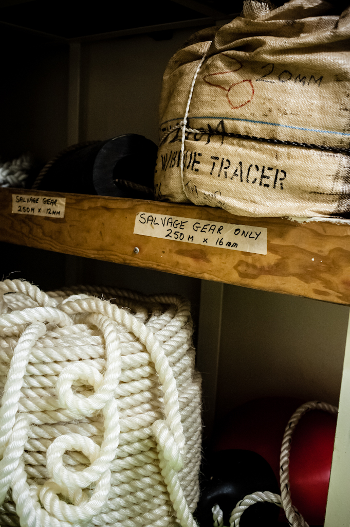 copyright Charlene Winfred