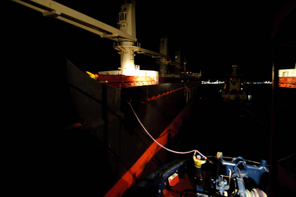 copyright Charlene Winfred