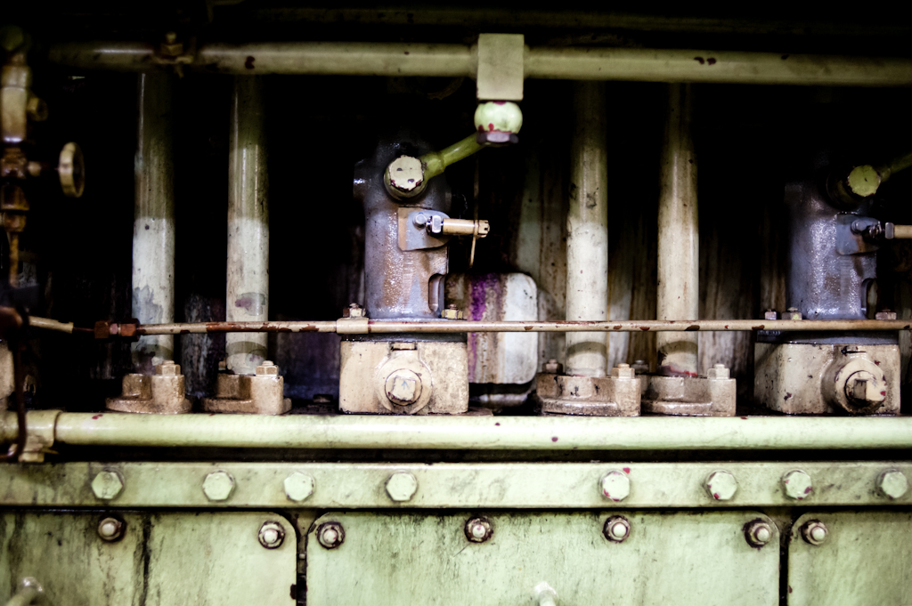 copyright Charlene Winfred