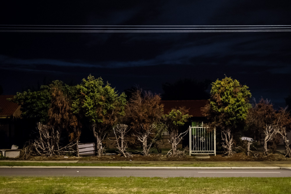 CharleneWinfred-Perth-142436