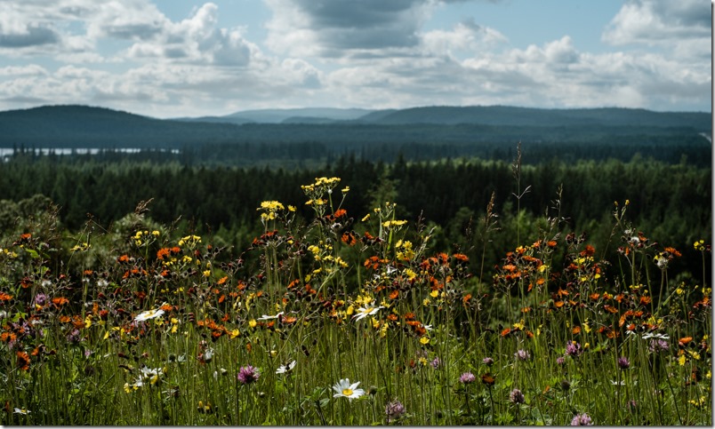 charlenewinfred-ca-wawa