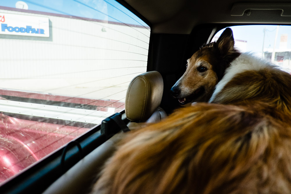 Ben waits for his best mate, Lyle, to come back into the truck