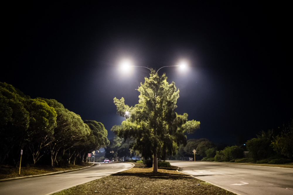 CharleneWinfred-Perth-142466
