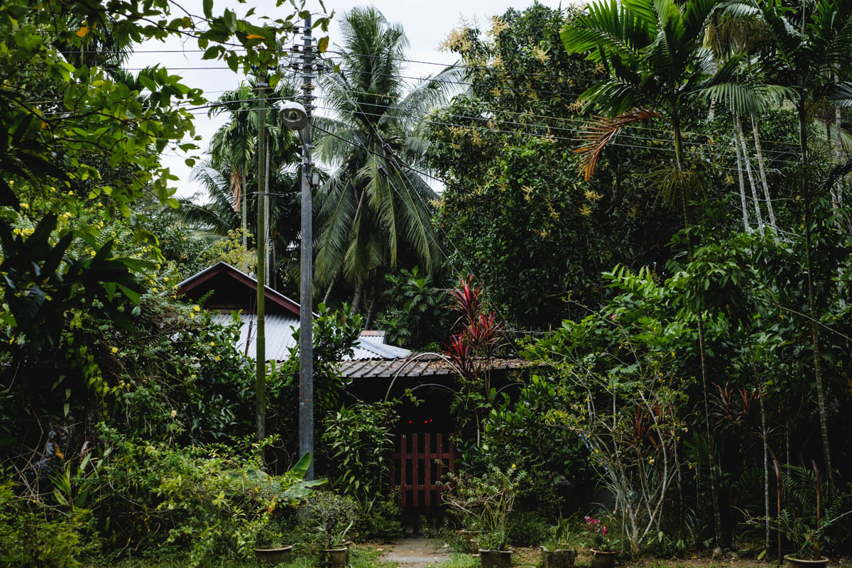 I spent the first 5 years of my life in a village much like this one: Kampong Buangkok, the last remaining kampung in Singapore.