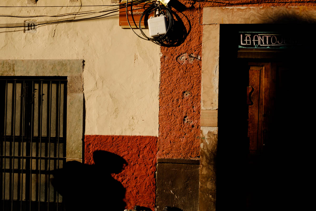 Charlene-Winfred-1559