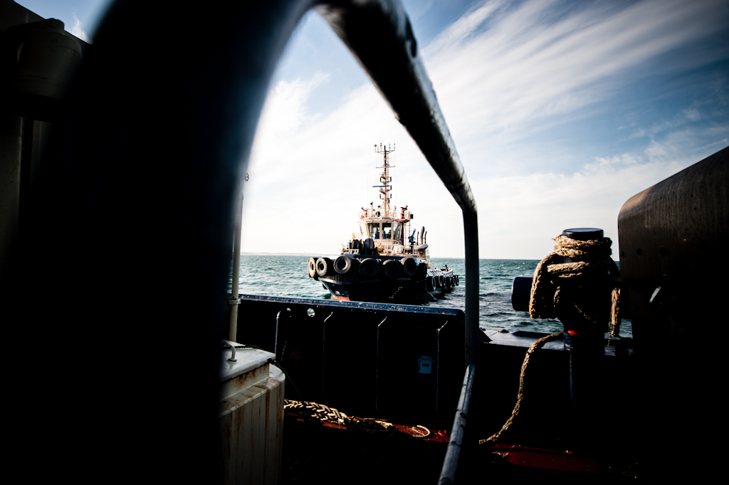 copyright Charlene Winfred