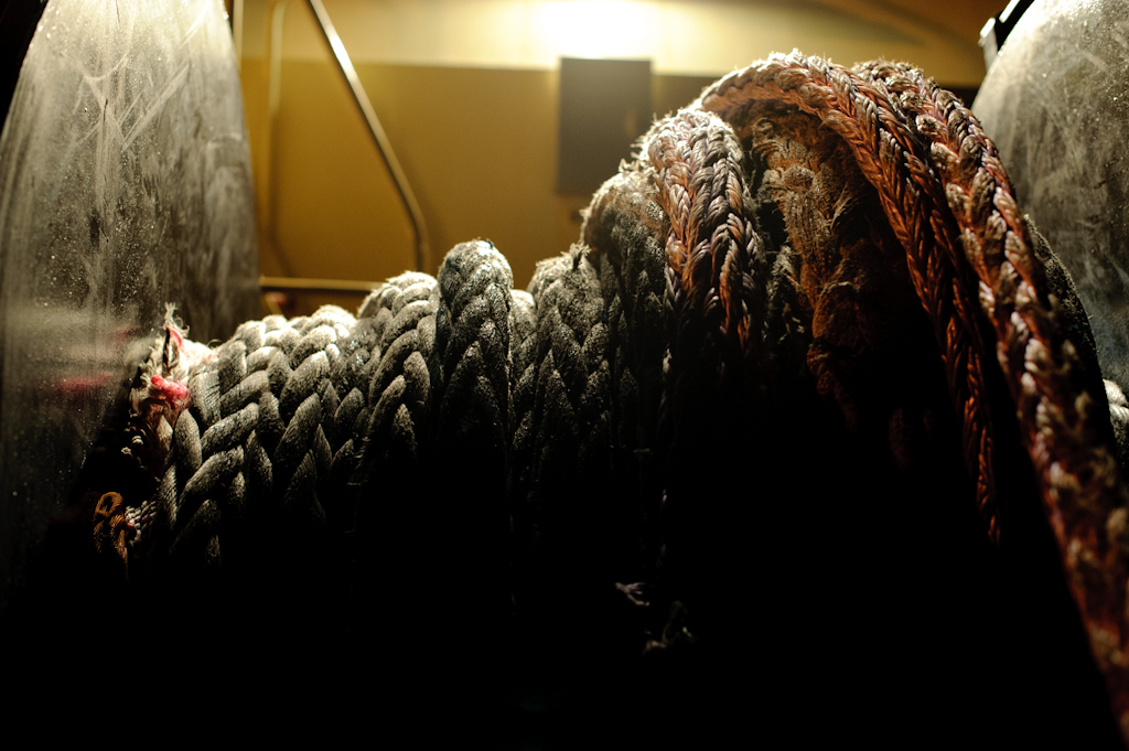 copyright Charlene Winfred