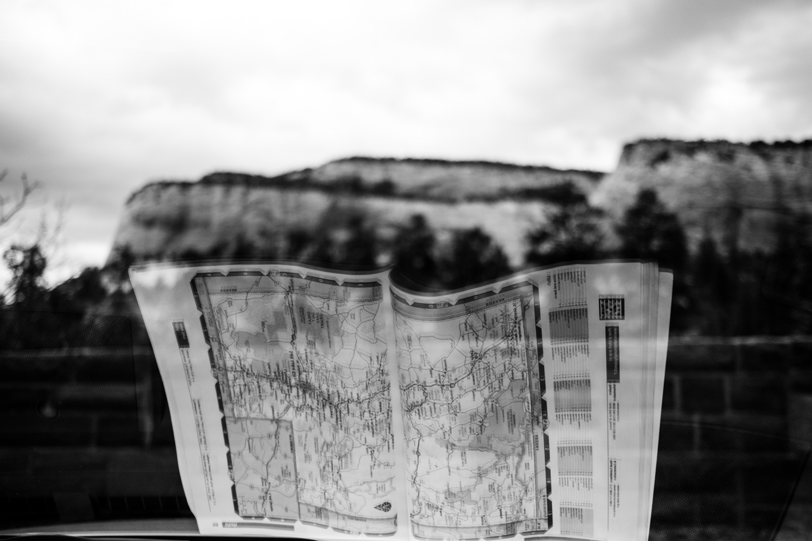 charlene-winfred-9530