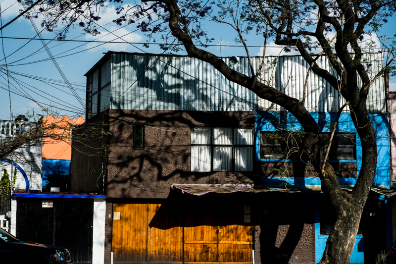 cw-mexicocity-blog-2