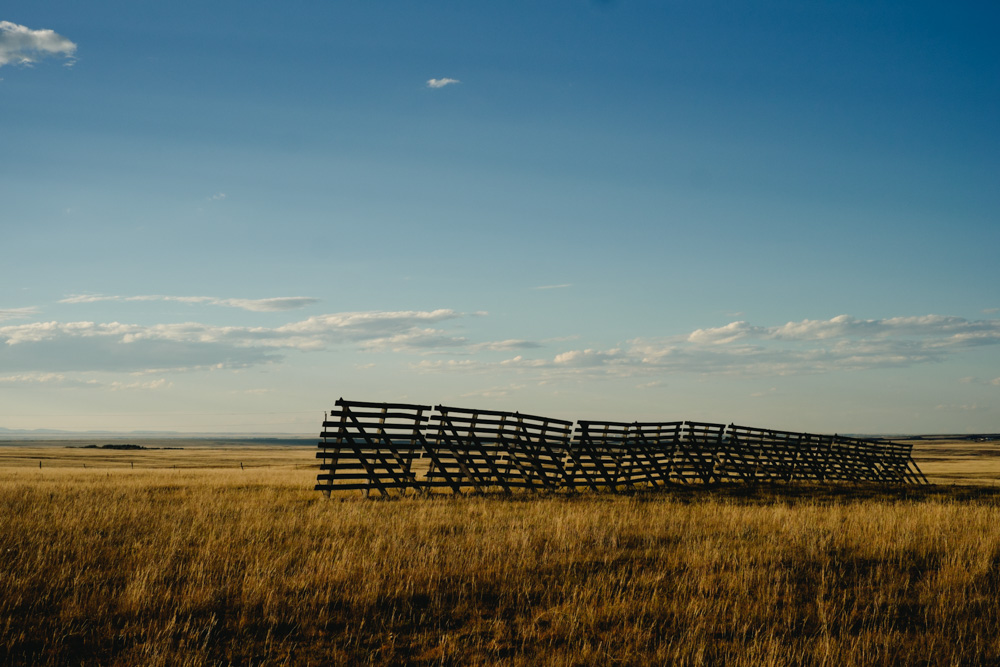 CharleneWinfred-USA-08688