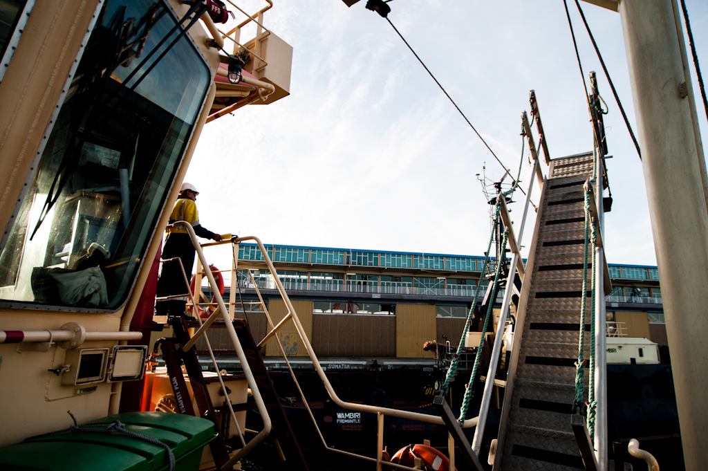 copyright Charlene Winfred