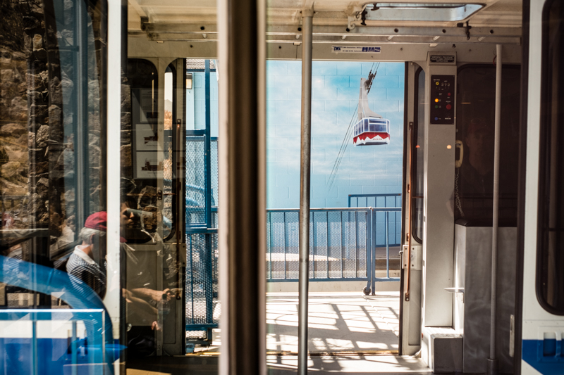 charlenewinfred-nmredux-9